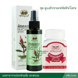 ชุด ดูแลรักษาออฟฟิศซินโดรม อภัยภูเบศร