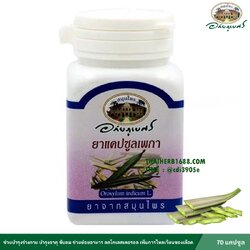 แคปซูลเพกา อภัยภูเบศร