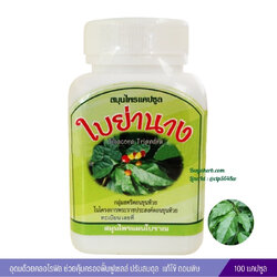 แคปซูลใบย่านาง สมุนไพรดวงพร (100 แคปซูล)