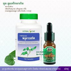 ชุด ดูแลรักษาเริม