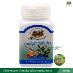 แคปซูลเถาวัลย์เปรียง อภัยภูเบศร