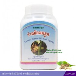 ยาแคปซูล ว่านชักมดลูก สมุนไพรดวงพร (100 แคปซูล)