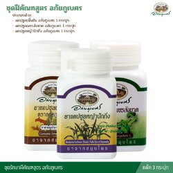 ชุดฝีคัณฑสูตร อภัยภูเบศร