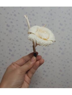 ดอกไม้จันทน์-ดอกเดี่ยว ไส้ขาว-บรรจุ100ดอก