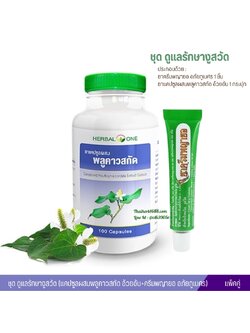 ชุด ดูแลรักษางูสวัด