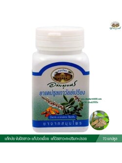 แคปซูลเถาวัลย์เปรียง อภัยภูเบศร