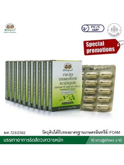 ยาแคปซูลผสมเพชรสังฆาต ตราอภัยภูเบศร ขนาดบรรจุ 10 แคปซูล (แผง) 10 แผง
