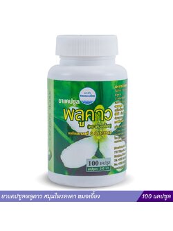 ยาแคปซูลพลูคาว สมุนไพรคงคา หมอเอี้ยง 100 แคปซูล