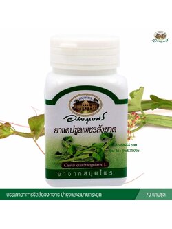 แคปซูลเพชรสังฆาต อภัยภูเบศร