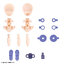 1066279 BANDAI SPIRITS 30MS OPTION PARTS SET 11 (FANG COSTUME) [COLOR A]