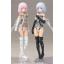 Frame Arms Girl - Materia Normal Ver. & White Ver.