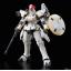 1063805 RG 1/144 TALLGEESE EW