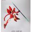 1062909 BANDAI SPIRITS GUNDAM AGE HG 1/144 GHIRARGA