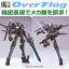 1/100 Over Flag