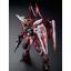 MG 1/100 JUSTICE GUNDAM (SPECIAL COATING Ver.)