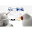 1058924 HELLO KITTY/RX-78-2 GUNDAM [SD EX-STANDARD]