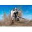 Preorder 4571697183544 Good Smile Company MODEROID Broken Blade (Manga) Delphine Second Form มัดจำ 500 บาท