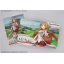 Figure-rise Standard Asuna