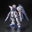 1061614 BANDAI SPIRITS RG 1/144 Freedom Gundam
