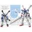 MG 1/100 Crossbone Gundam X2 Ver. Ka & MG 1/100 Crossbone Gundam X3 Ver. Ka