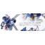 MG 1/100 Crossbone Gundam X2 Ver. Ka & MG 1/100 Crossbone Gundam X3 Ver. Ka