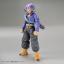 Figure-rise Standard SUPER SAIYAN TRUNKS & SUPER SAIYAN VEGETA DX SET