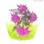 Figure-rise Effect BURST EFFECT(SPACE PINK)