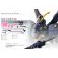MG 1/100 Crossbone Gundam X2 Ver. Ka & MG 1/100 Crossbone Gundam X3 Ver. Ka