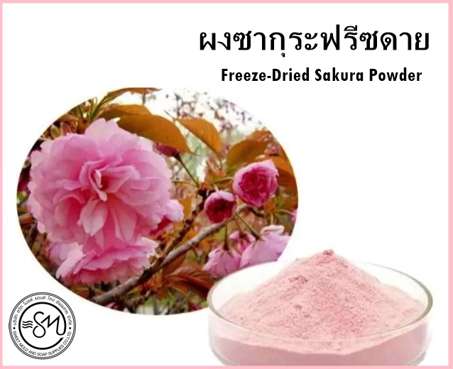 ผงดอกซากุระฟรีซดาย ขนาด 50 กรัม