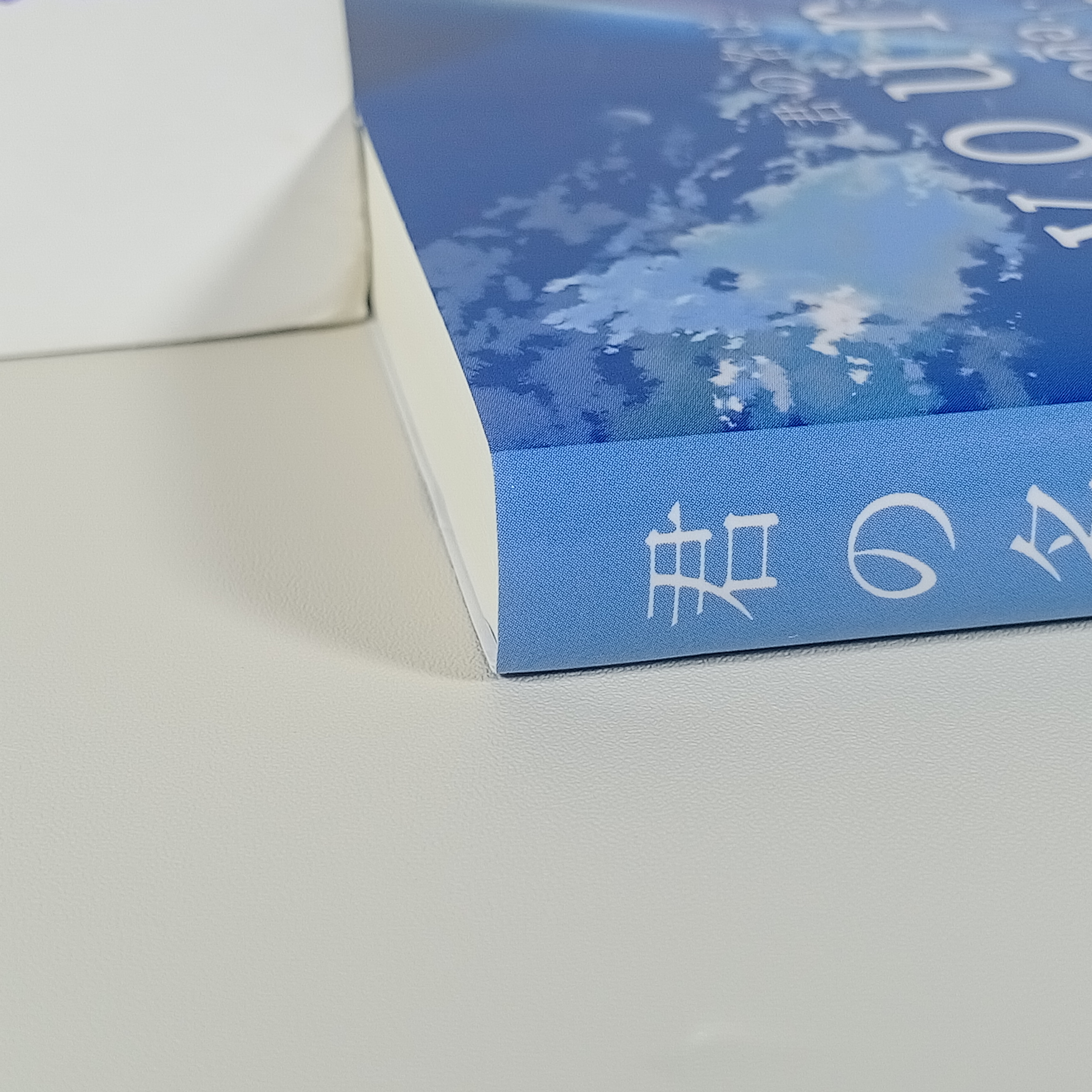 [ไลท์โนเวล] Your Name เธอคือ... (เล่มเดียวจบ)