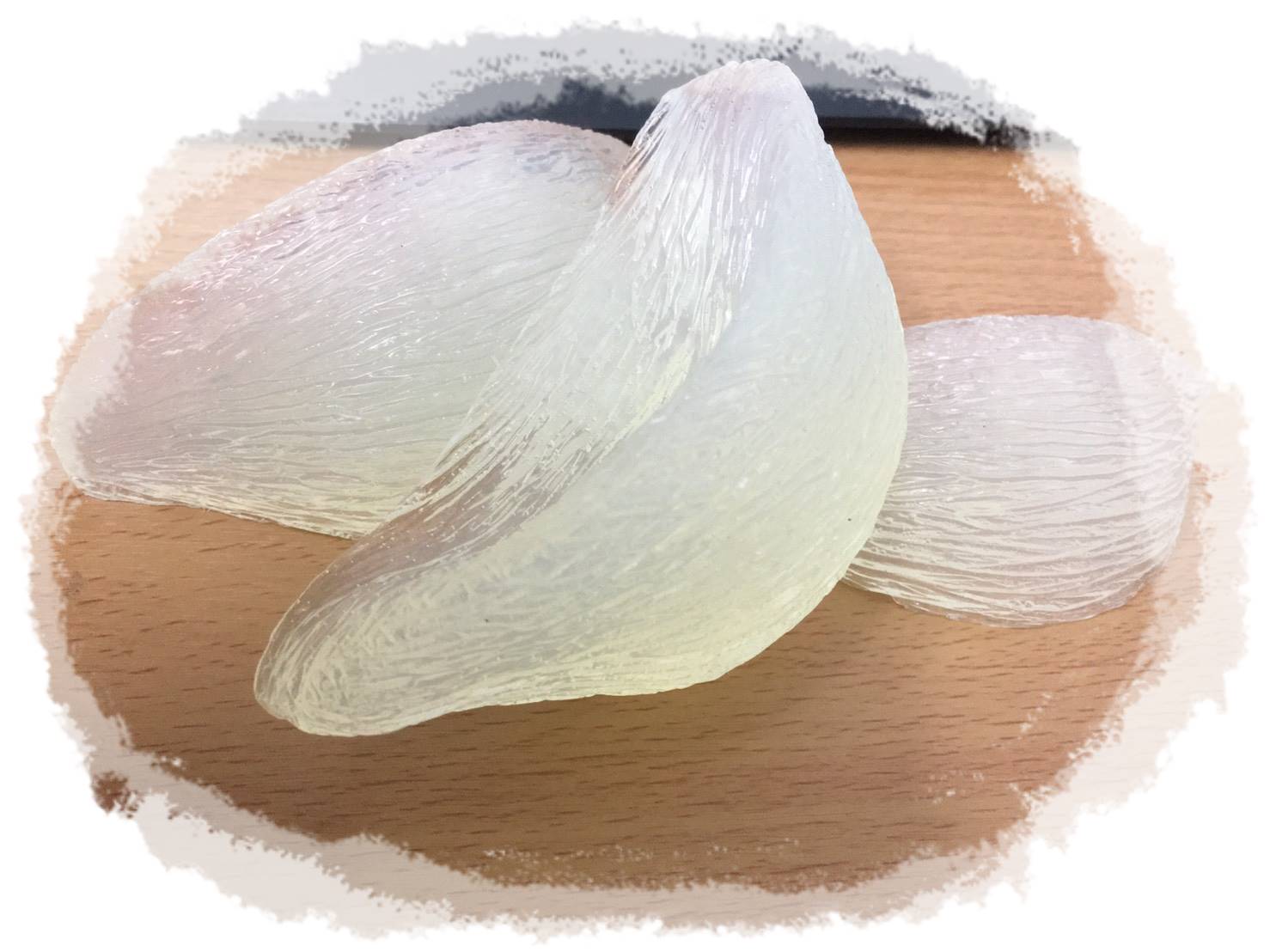 แม่พิมพ์รังนกนางแอ่น ขนาด105กรัม 5ช่อง : 007326