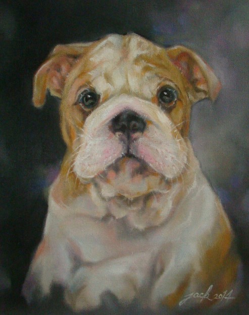 Bulldog Puppy ภาพวาดสีน้ำมัน งานเพ้นท์บนเฟรมผ้าใบ canvas ขนาด 24x30 cm.