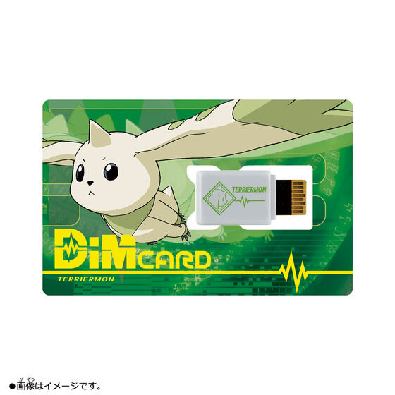 8071521 BANDAI DIGITAL MONSTER DIGIMON DIM CARD EX2 DIGIMON TAMERS VER.TERRIERMON