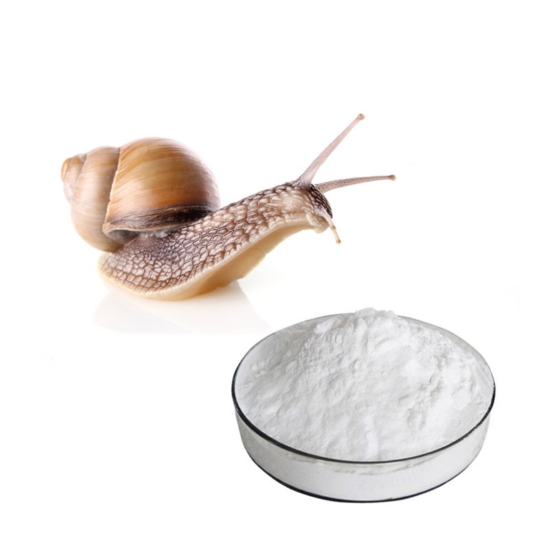 ผงSnail ผงสร้างเมือกหอยทาก