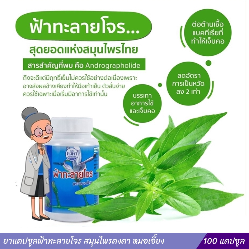 ยาแคปซูลฟ้าทะลายโจร สมุนไพรคงคา หมอเอี้ยง ( 100 แคปซูล )