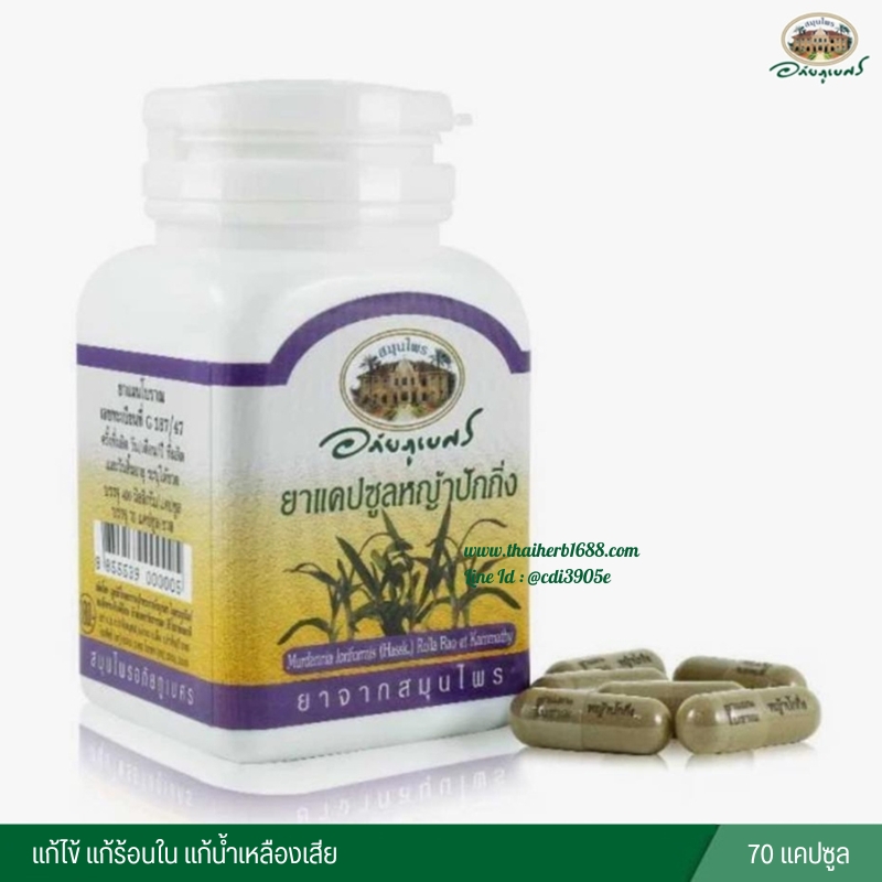 แคปซูลหญ้าปักกิ่ง อภัยภูเบศร