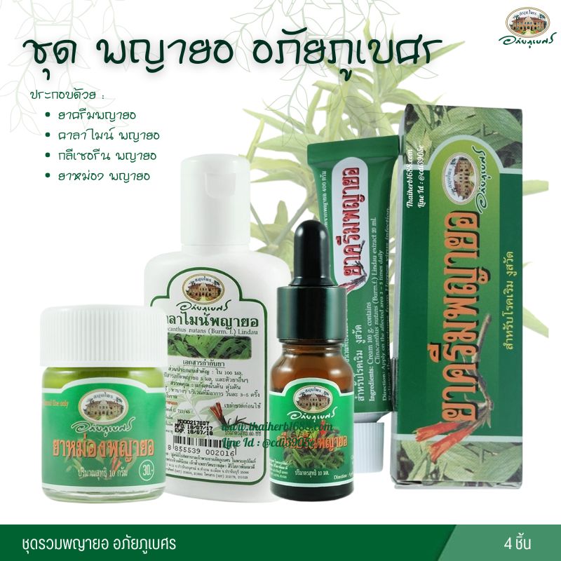 ชุด พญายอ อภัยภูเบศร