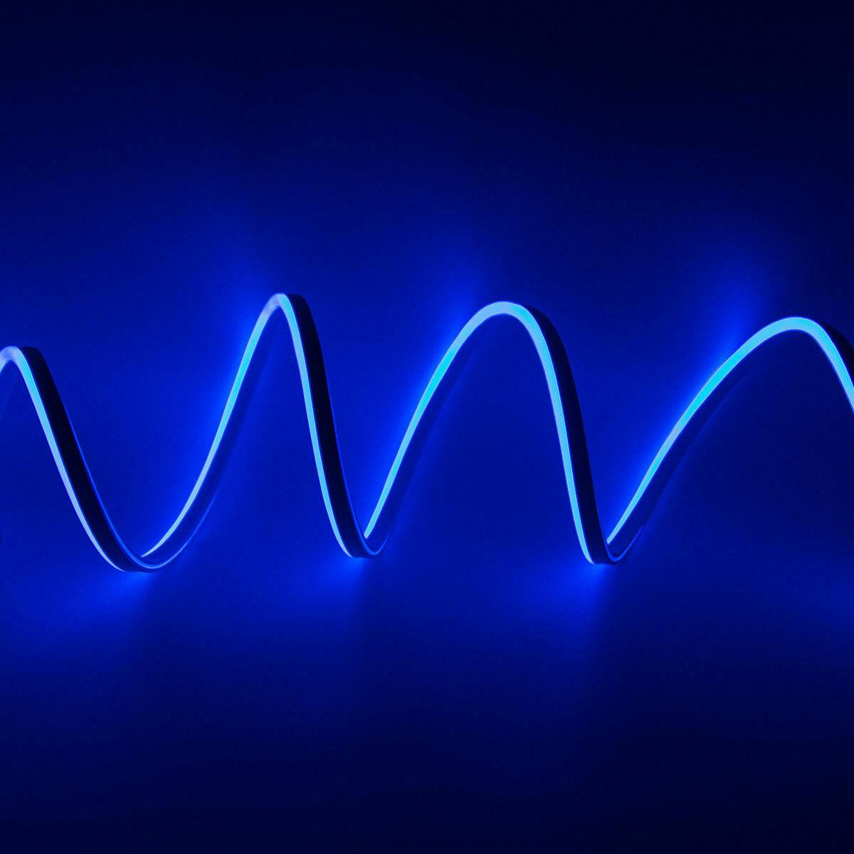 [ฟรี !ปลั๊กหัวจ่าย 3 เส้น] LED Neon Flex ม้วน 50 เมตร ไฟเส้น led นีออนเฟล็กซ์ ไฟแอลอีดีนีออนดัด สามารถ ตัด ดัด โค้ง งอ ตกเเต่ง ได้ตามต้องการ AC220V เหมาะกับการเดินไฟซ่อนฝ้า แต่งภายในและภายนอกสถานที่ -แสงน้ำเงิน ม้วนยาว 50 เมตร