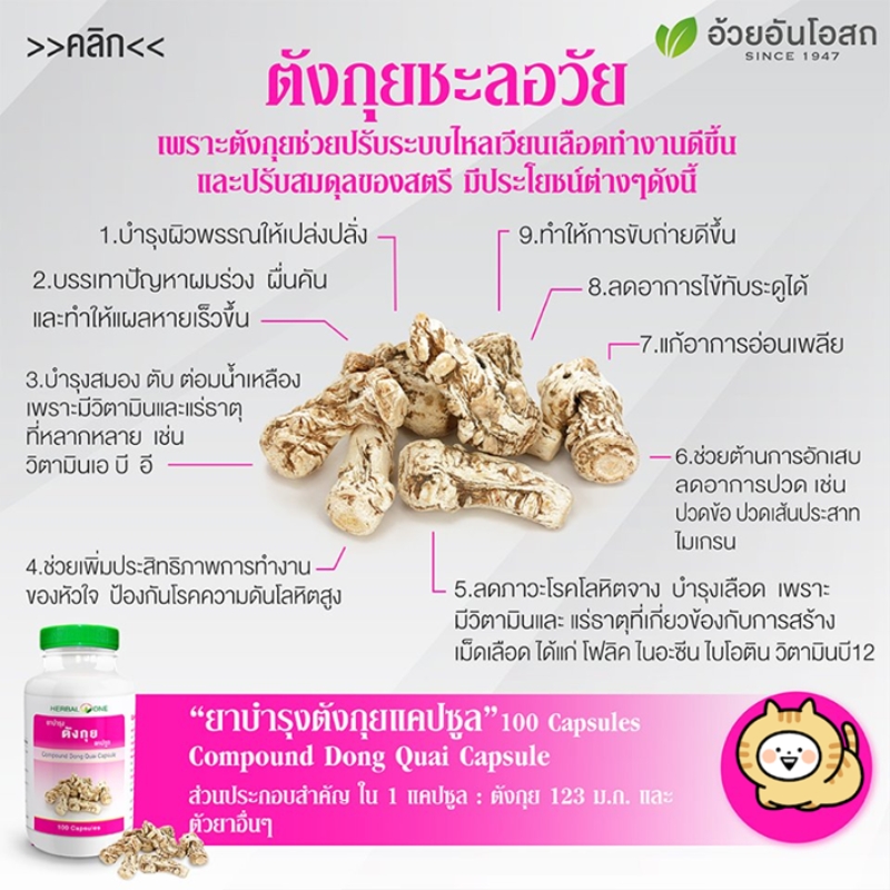 ยาบำรุงตังกุยชนิดแคปซูล อ้วยอันโอสถ เฮอร์บัลวัน Herbal One