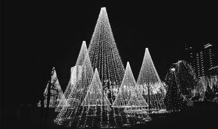 ไฟคริสต์มาส ความยาว 100 เมตร เเสงขาว / วอร์มไวท์ / สีรวม RGB /ฟ้า / เเดง / ชมพู เเสงนิ่ง (ไม่กระพริบ) ไฟประดับตกเเต่ง ไฟประดับสวน ไฟประดับต้นไม้ ไฟประดับ led ไฟประดับปีใหม่ ไฟปีใหม่ ไฟงานวัด ไฟเส้นตกเเต่ง