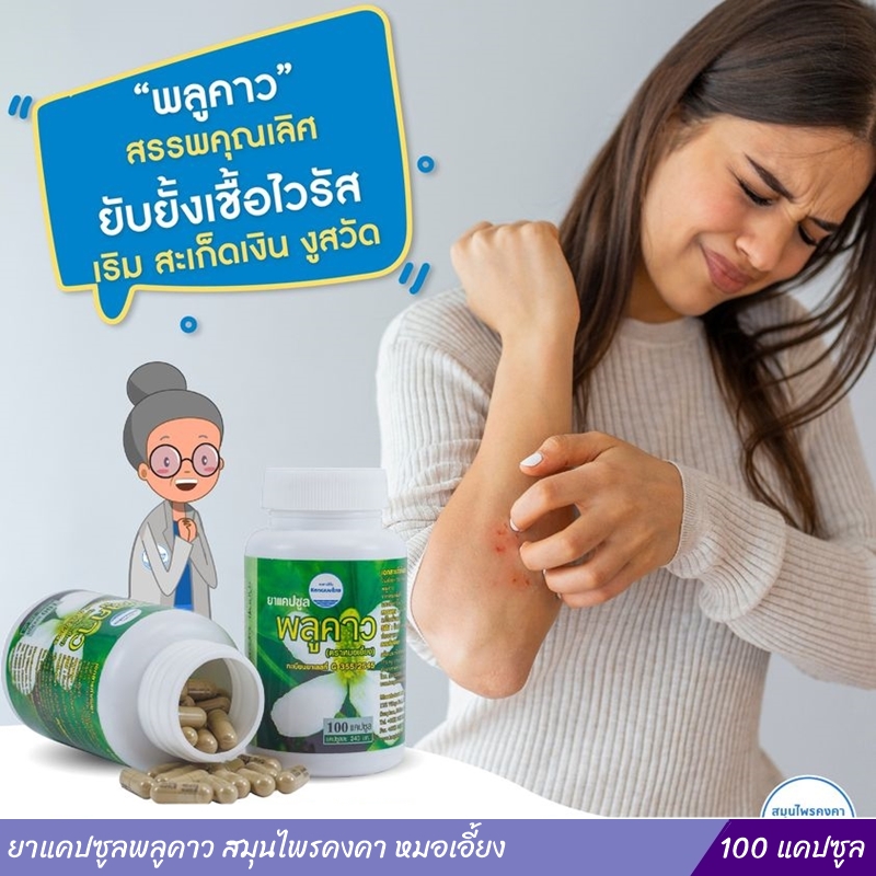 ยาแคปซูลพลูคาว สมุนไพรคงคา หมอเอี้ยง 100 แคปซูล