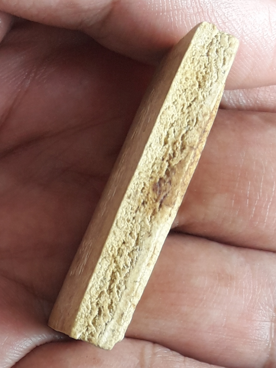 พระสมเด็จ หลวงพ่อคำ วัดบำรุงธรรม จ.สระบุรี