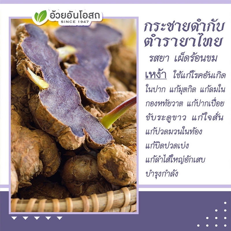 ยาแคปซูลกระชายดำ อ้วยอันโอสถ เฮอร์บัลวัน Herbal One