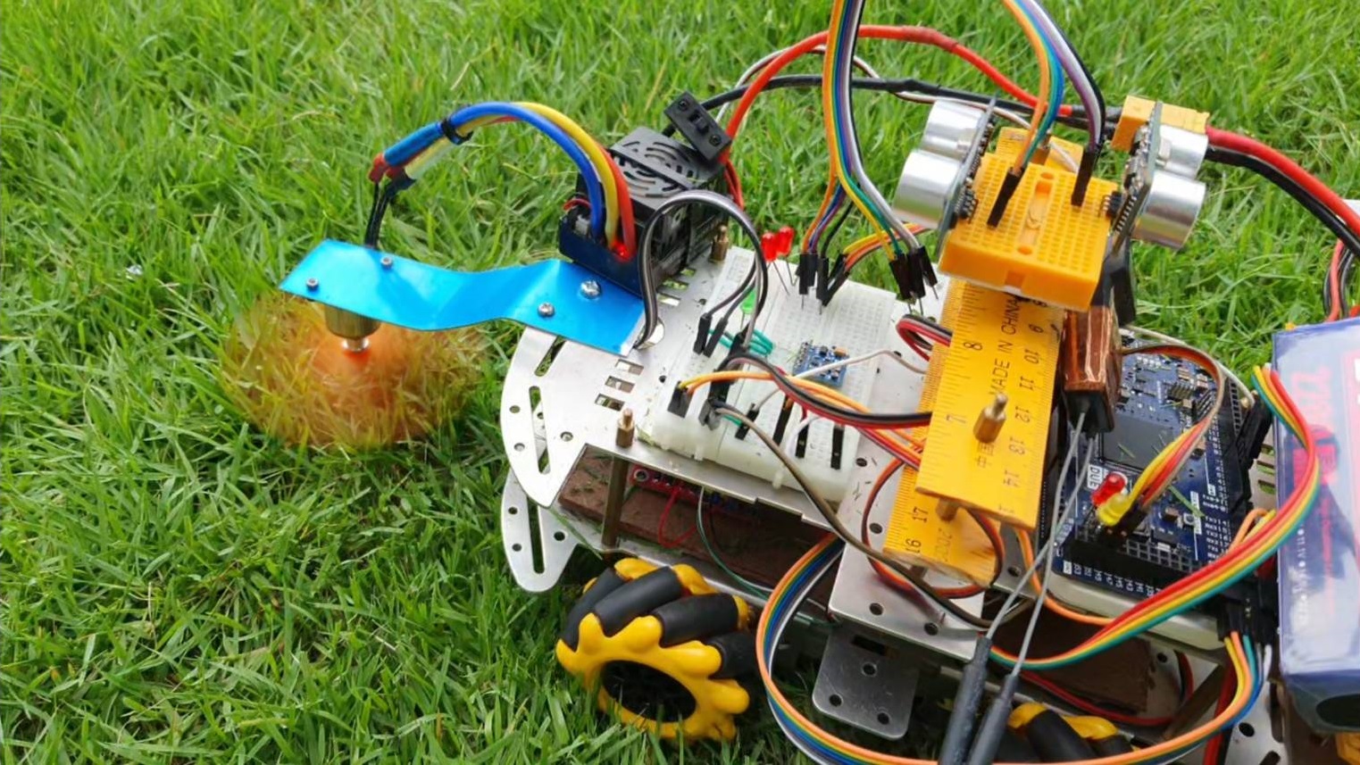 Autonomous Robot cut lawn grass