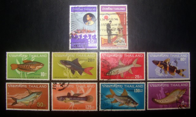 [s2453] แสตมป์ในหลวง ร.9 ปี 2513-14 + แสตมป์นิยมหายาก ชุดปลาไทย(ชุด 2) ปี 2511 ยังไม่ใช้+ใช้แล้ว ราคาเบา น่าสะสมครับ