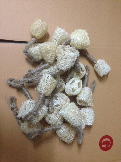 ใยบวบ ตัดครี่งผูกเชือก (แพ็ค3000ชิ้น)