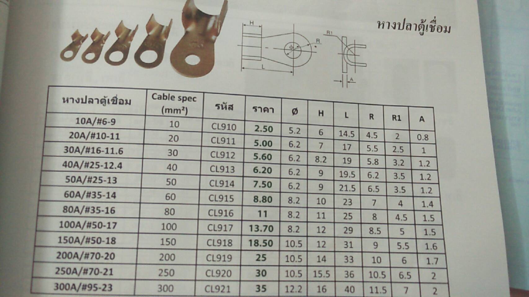 หางปลาตู้เชื่อม