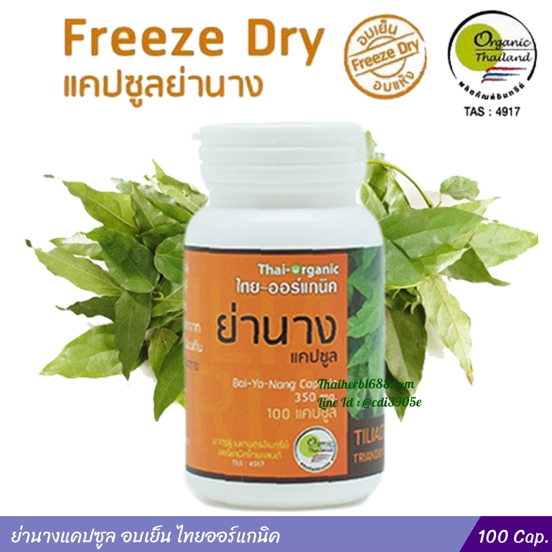 ย่านางแคปซูล อบเย็น ไทยออร์แกนิค 100 แคปซูล