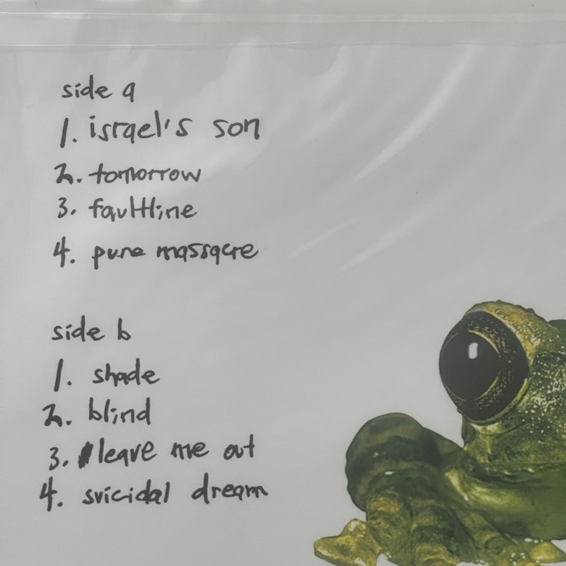 แผ่นเสียง Silverchair - Frogstomp ,crystal clear Vinyl, LP, Single Sided, แผ่นเสียงมือหนึ่ง ซีล