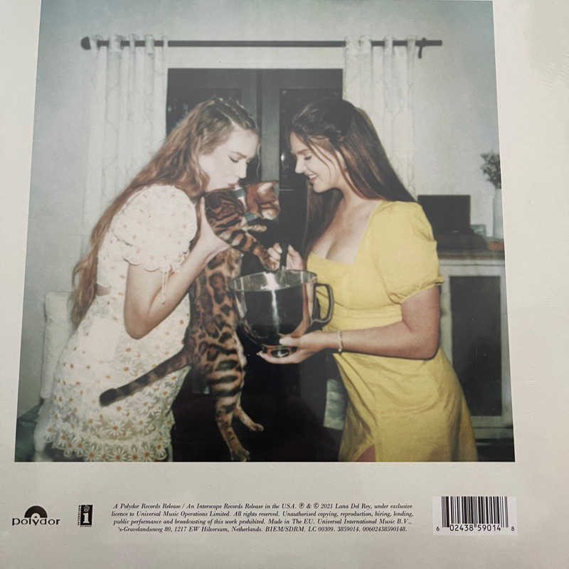 แผ่นเสียง Lana Del Ray Blue Banisters ,2 x Vinyl, LP, Album มือหนึ่ง ซีล